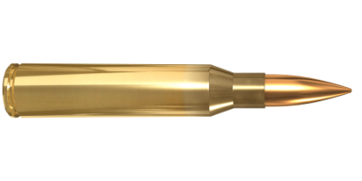 Image of Bullet
